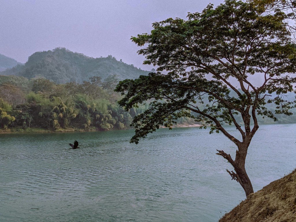Aditya das cozU89AjrA4 unsplash